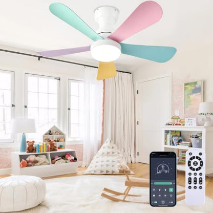 Ceiling Fans with Lights