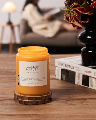 Goldenharvest Scented Candle Fruit Grain Fragrance for Autumn Home (Large Jar / Golden Harvest)