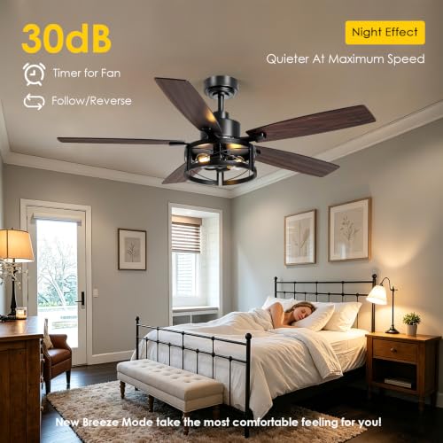 ceiling fan