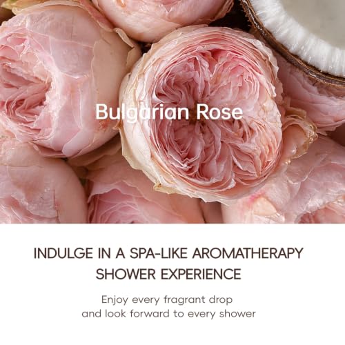 Korean Shower Filter