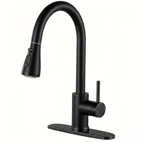 Black Kitchen Faucet with Pull Down Sprayer (Matte Black)