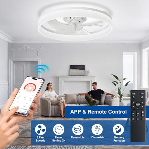 DLLT Modern Ceiling Fans with Lights