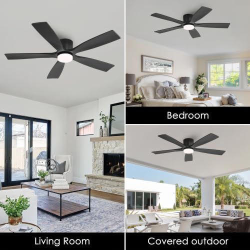 Ceiling Fan with Lights