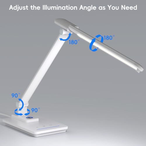 LED Desk Lamp