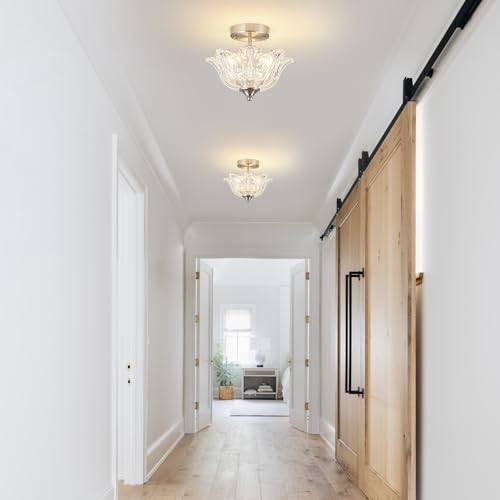 Semi Flush Mount Ceiling Light