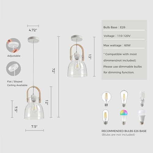 Hand Blown Glass Pendant Light