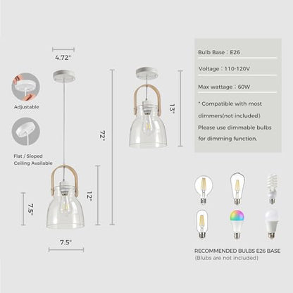 Hand Blown Glass Pendant Light