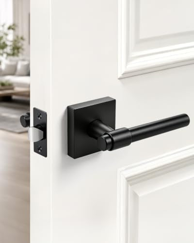 Interior Door Handle Sleek Ring Design