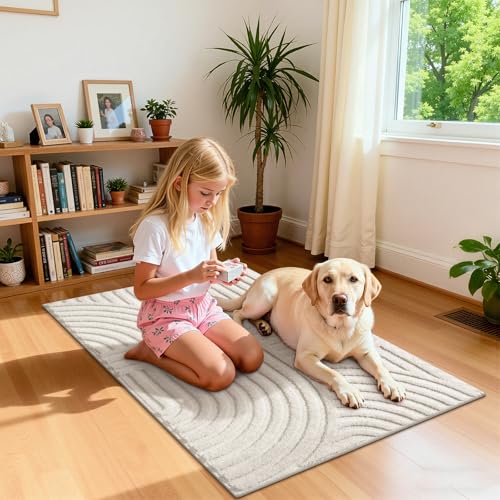 Area Rugs for Living Room