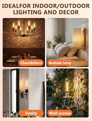 Edison LED Replacement Bulbs for Outdoor String Lights