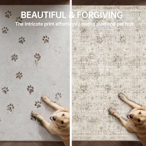 2x3 Area Rugs (Beige / 2' x 3' (Rectangular))