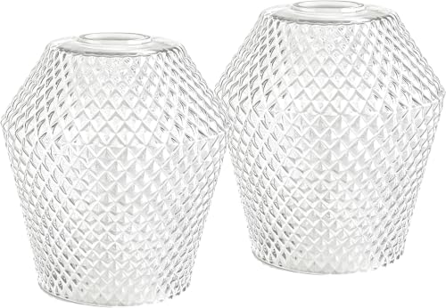 2Pcs Small Glass Lamp Shades
