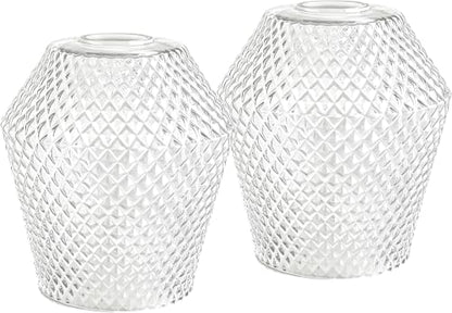 2Pcs Small Glass Lamp Shades