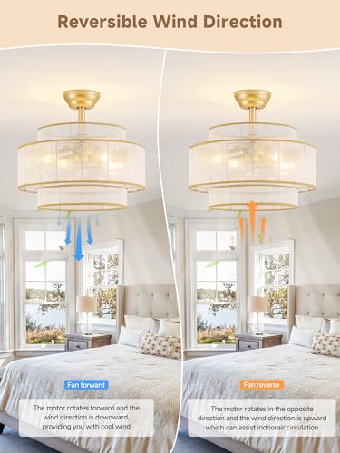AM-0371 0372-4H-2-NA ceiling fans with lights