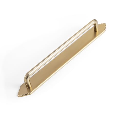 2 Pack Cabinet Pulls with Backplate 2510