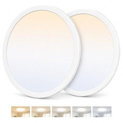 Ceiling Lights