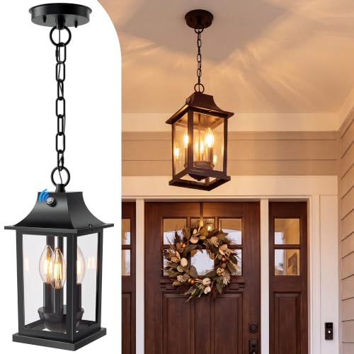 Outdoor Pendant Lights
