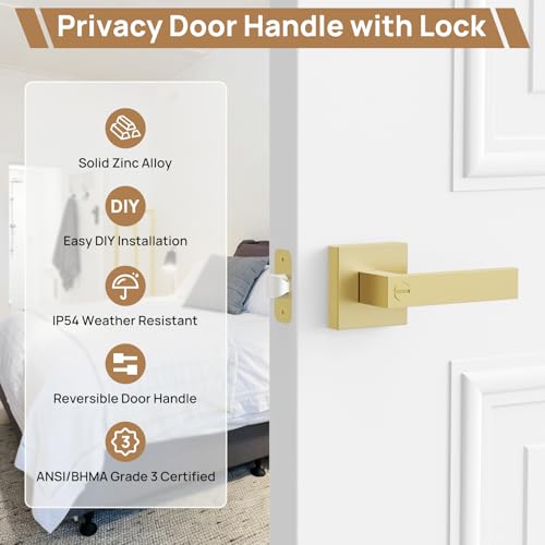 Door Handles Interior Door Knobs