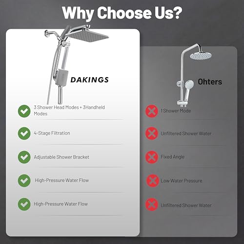 Dual Filtered Rainfall Handheld Showerhead Spray Combo for Bathroom (Chrome)