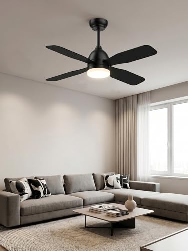 Ceiling Fans with Lights