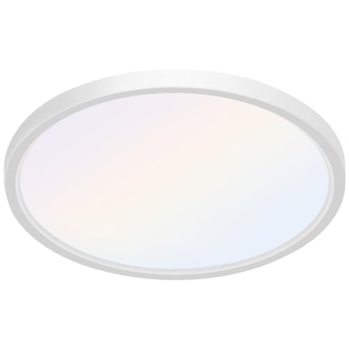 Flush Mount 12 Inch Ceiling Light Fixtures 24W Ultra
