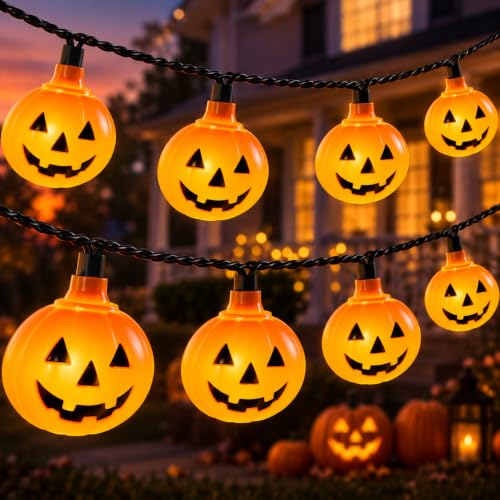 12FT 20 LED Outdoor String Lights