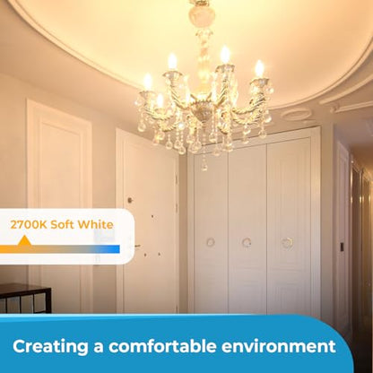 E12 Candelabra Light Bulbs