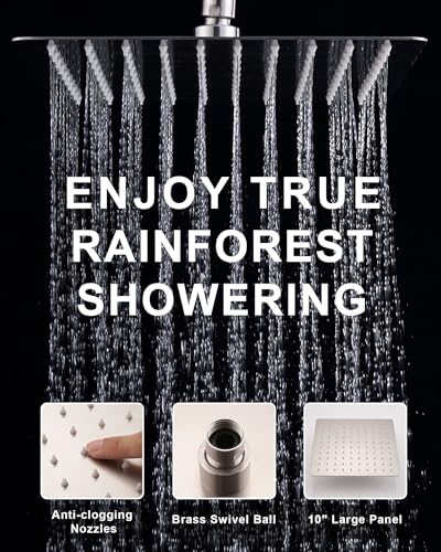10" Rain Shower Head with Handheld Combo