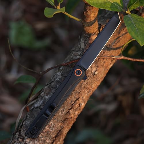 EDC Pocket Knife Canyon