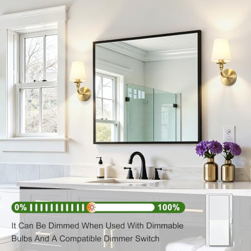 Bathroom Vanity Light