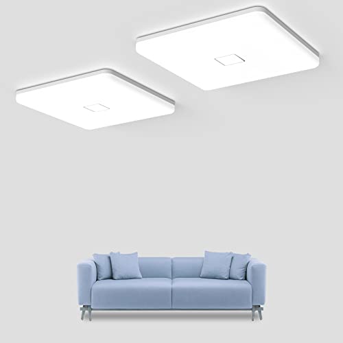 LED Ceiling Light