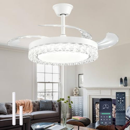 Ceiling Fans with Lights