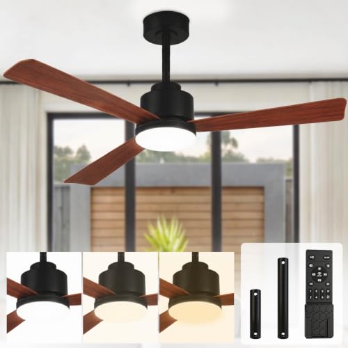 52 inch Ceiling Fan with Light
