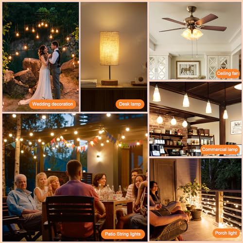 G40 Outdoor Light Bulbs