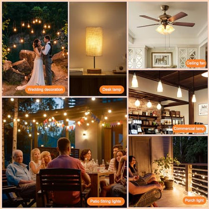 G40 Outdoor Light Bulbs
