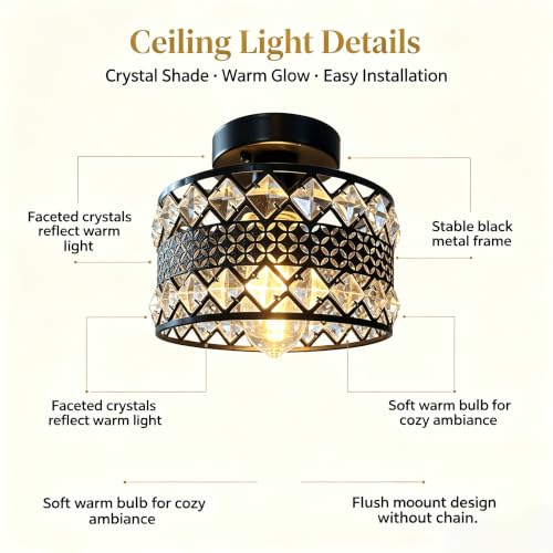Crystal Ceiling Light Fixture