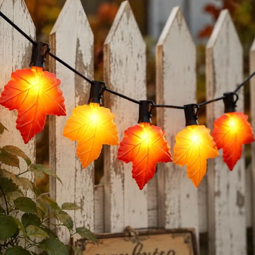 25FT Outdoor String Lights for Holiday Decor
