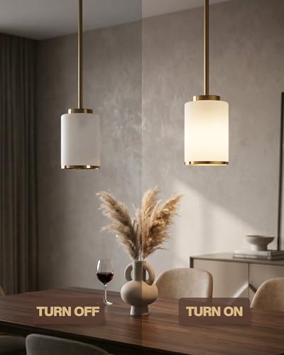 Indoor Pendant Light Fixtures