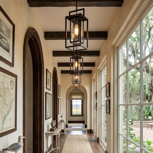 Double Cage Pendant Outdoor Wall Lighting