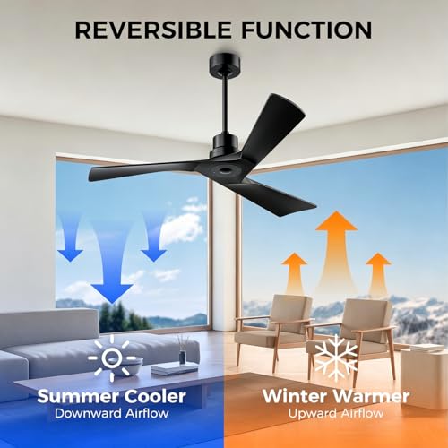 Ceiling Fan and Remote Control Outdoor Ceiling Fan