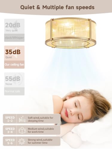 18.5 Inch Fabric Woven Ceiling Fan with Remote