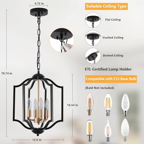 Black Chandelier Light Fixture