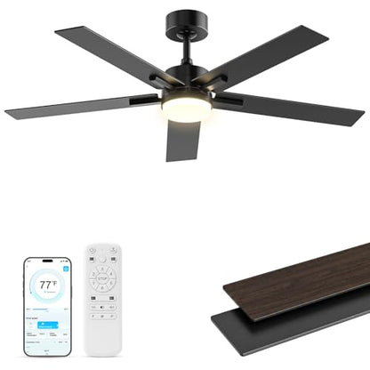 Black Ceiling Fan