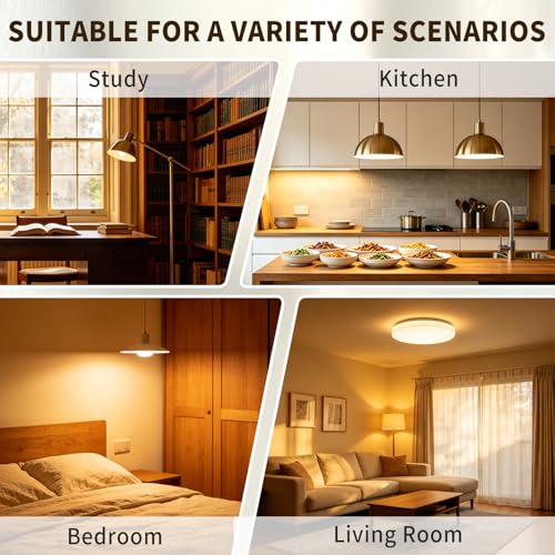 40W Clear Incandescent Bulbs G25 Globe Light Bulbs for E26