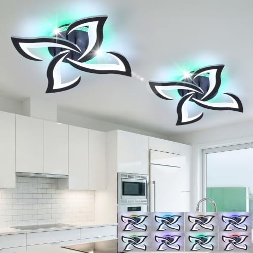 Modern LED Ceiling Light Fixtures