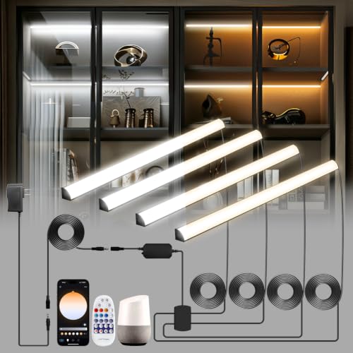 Black Shelf Lights