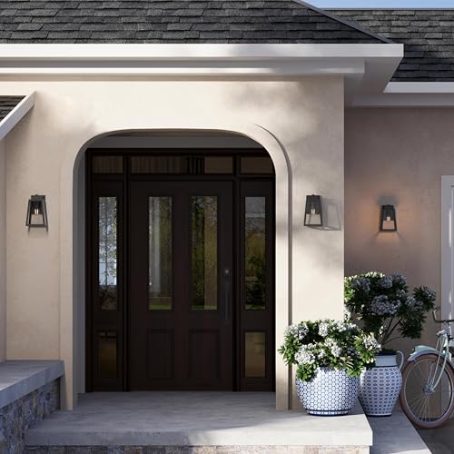 Hedry 10 Inch Small Outdoor Wall Lantern
