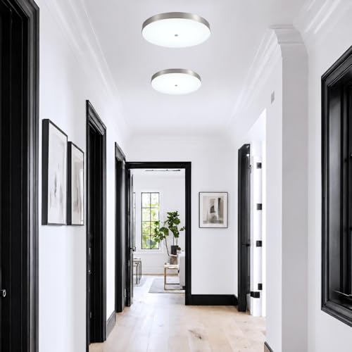 12 Inch Brushed Nickel LED Flush Mount Ceiling Light Fixtures