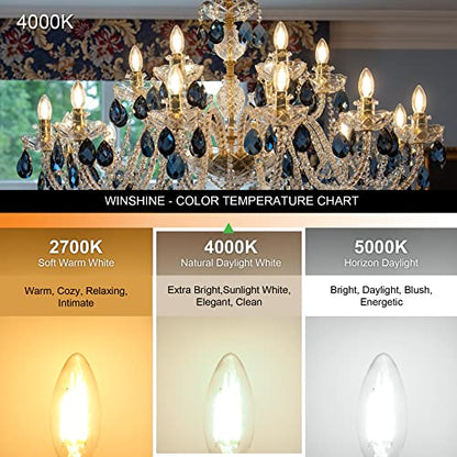 E12 LED Light Bulb Candelabra 60W Equivalent 4000K Natural White (10 Count (Pack of 1))