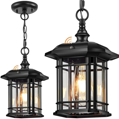 P8308P Outdoor Pendant Light